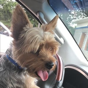 Meet your Posher, Nia